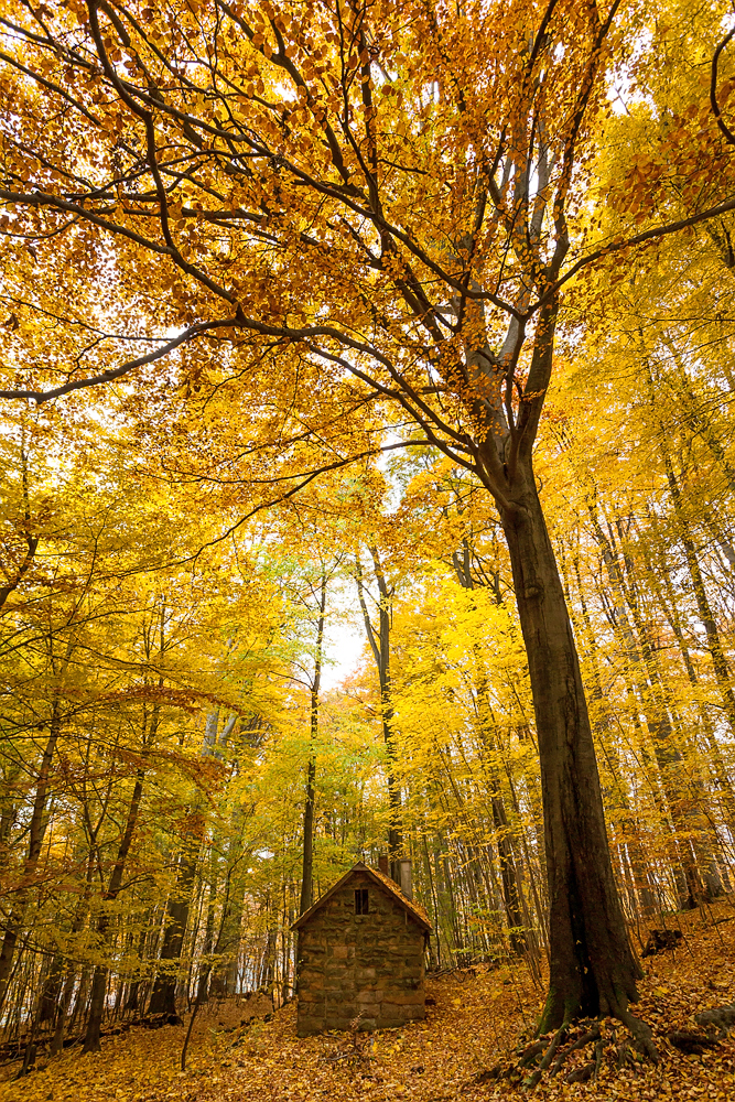 Als der Herbst noch ein Goldener sein durfte