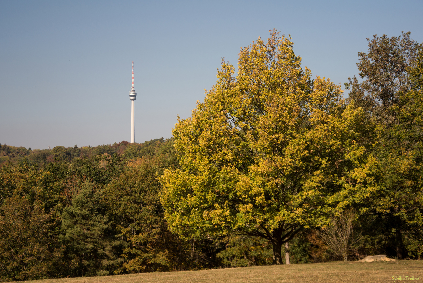 Als der Herbst noch golden war