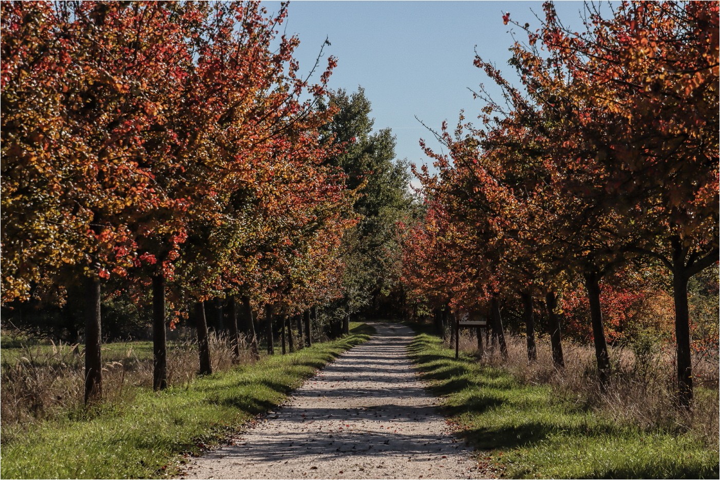 Als der Herbst noch üppig war