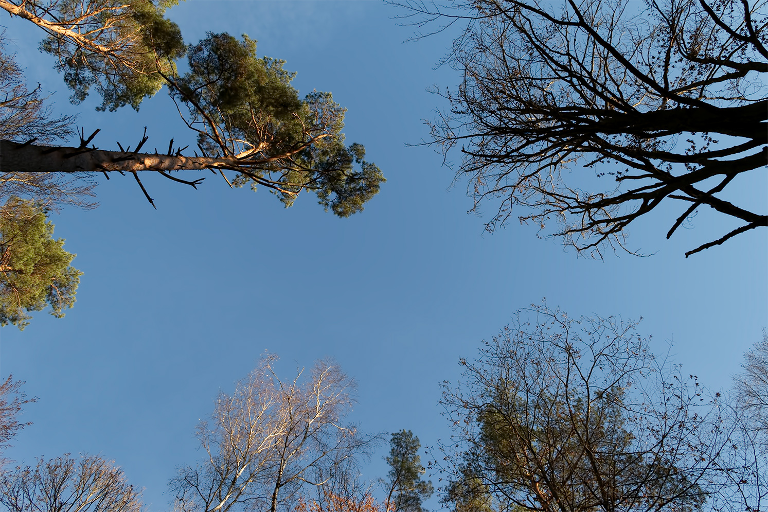 Als der Himmel noch blau war .....