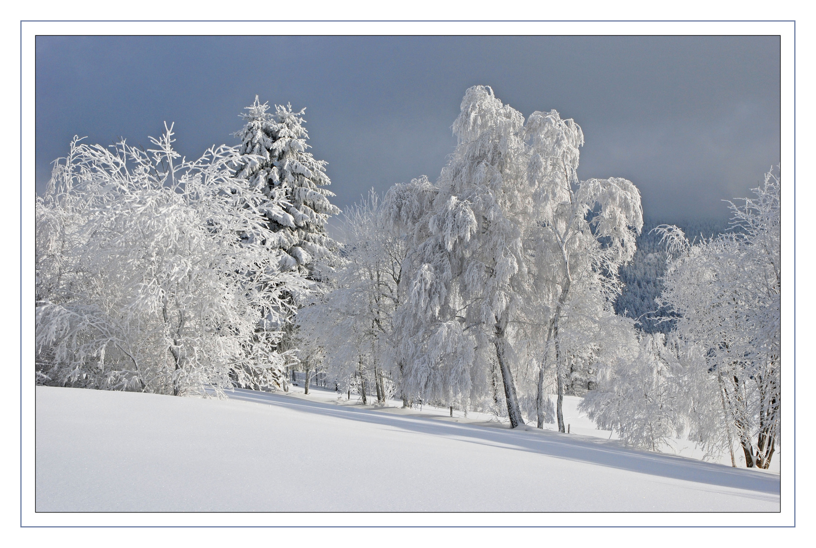 Als der Hochnebel sich lichtete (I)...