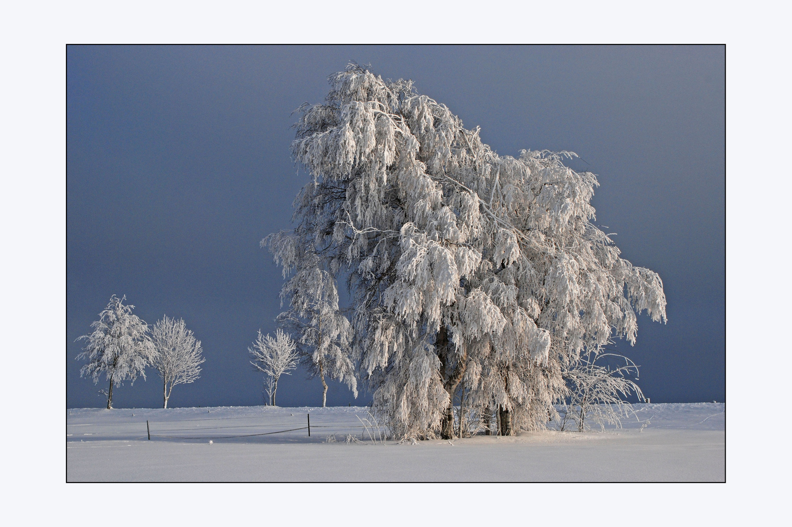 ...als der Hochnebel sich lichtete (II)...