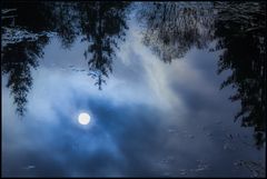 ALS DER MOND INS MOORWASSER FIEL...