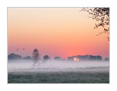 Als der Morgen erwachte