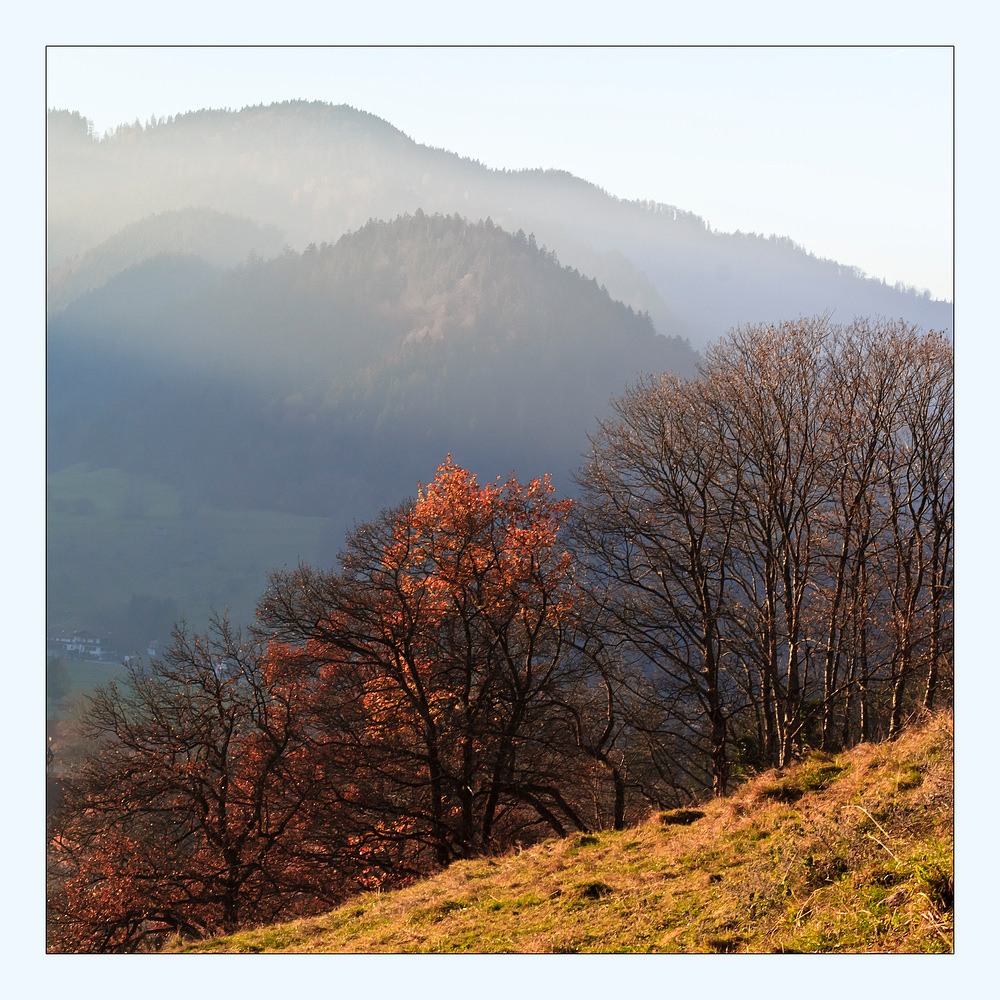 als der Nebel die Sicht frei gab