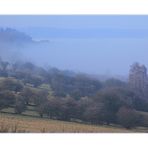 Als der Nebel in Schüben über den Berg waberte...