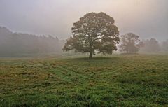 Als der Nebel kam