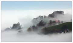 Als der Nebel kam ...