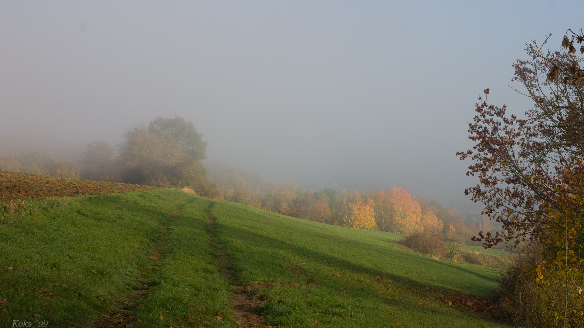 Als der Nebel kam