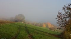 Als der Nebel kam