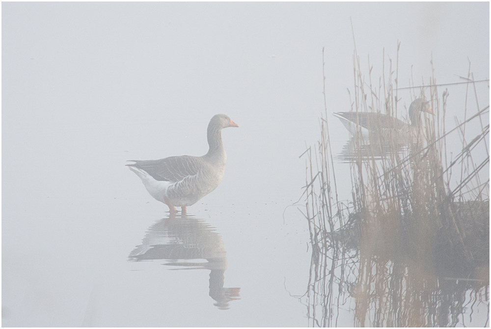 Als der Nebel von der Sonne verdrängt wurde . . .