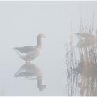 Als der Nebel von der Sonne verdrängt wurde . . .