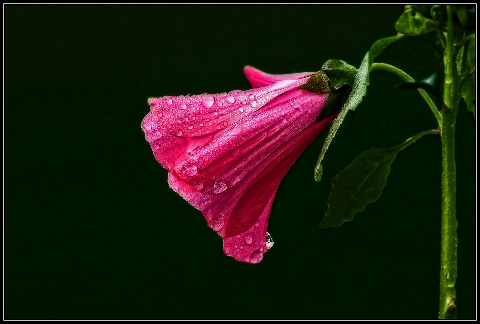 "Als der Regen aufhörte ....."