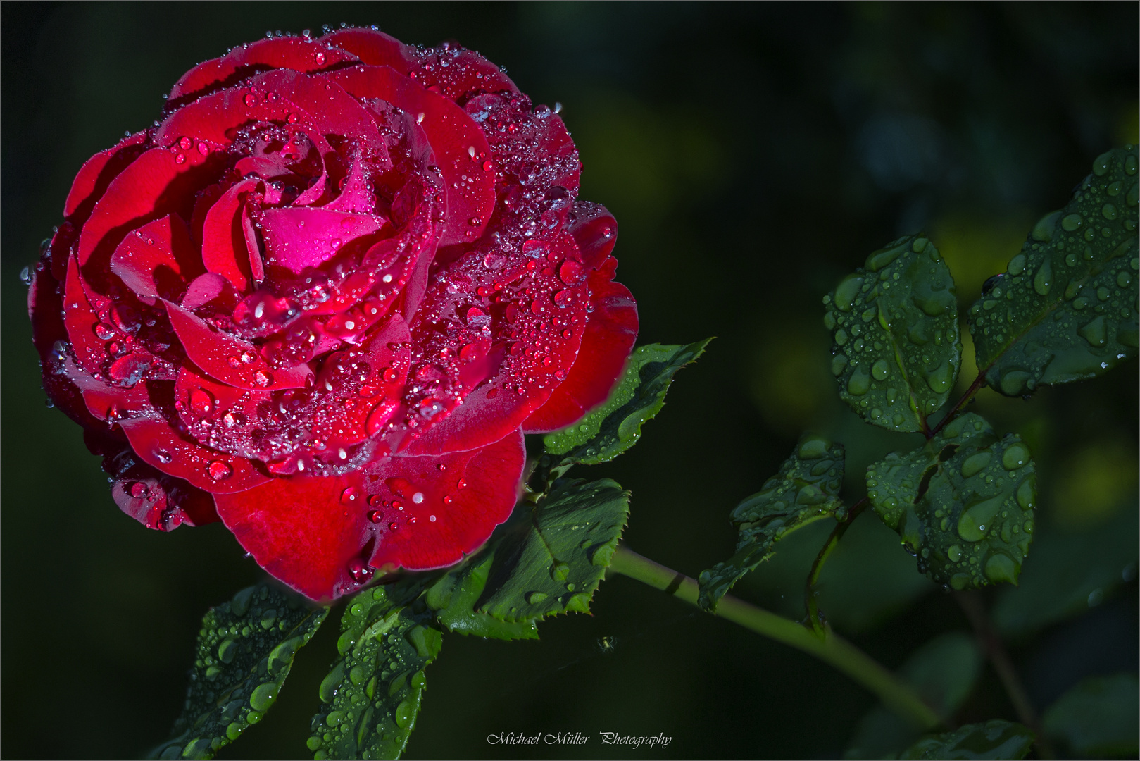 *--Als der Regen gekommen ist--*