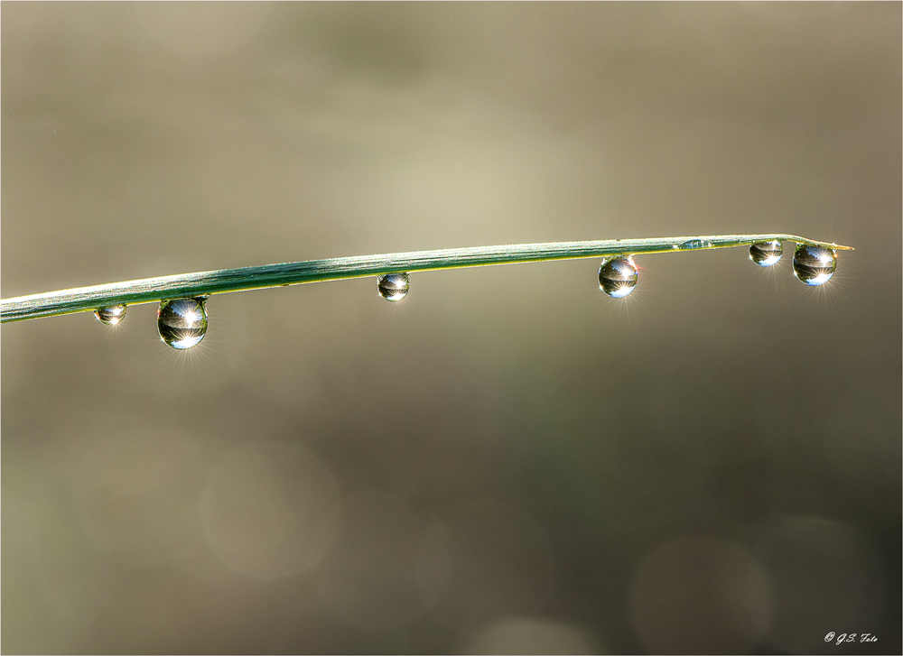 Als der Regen kam.....