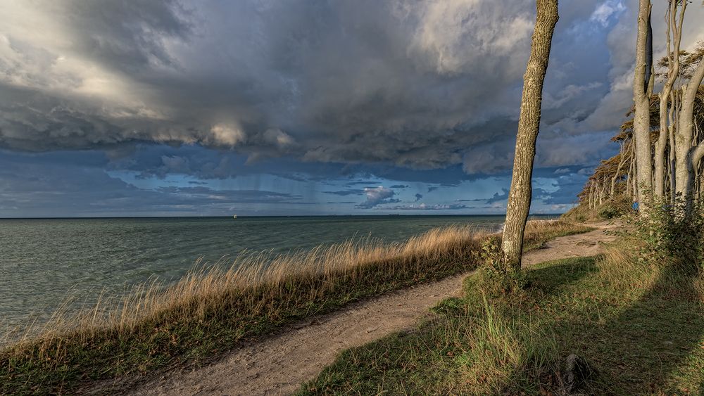 als der Regen kam