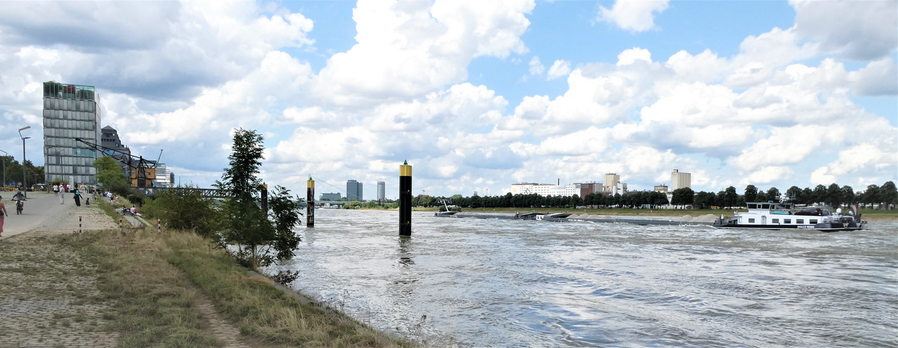 Als der Rhein noch hoch war