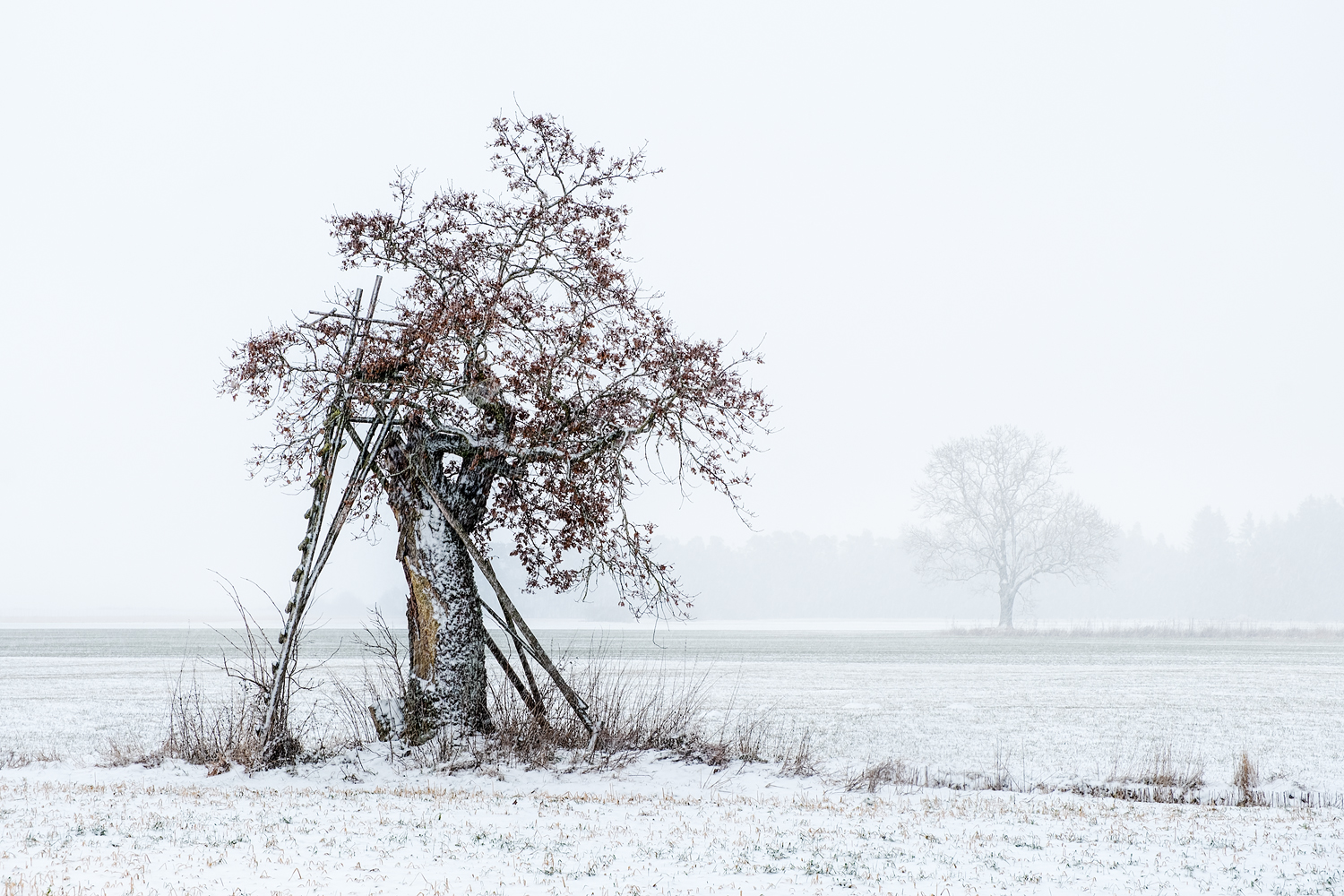 als der viele schnee kam