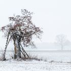 als der viele schnee kam