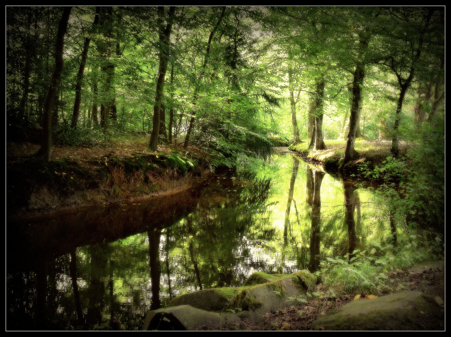 ...als der Wald noch grün war.....