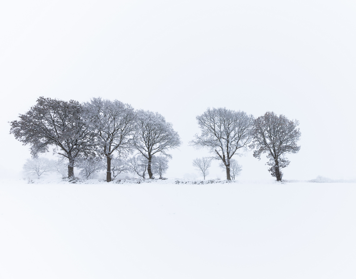 Als der Winter im Norden war