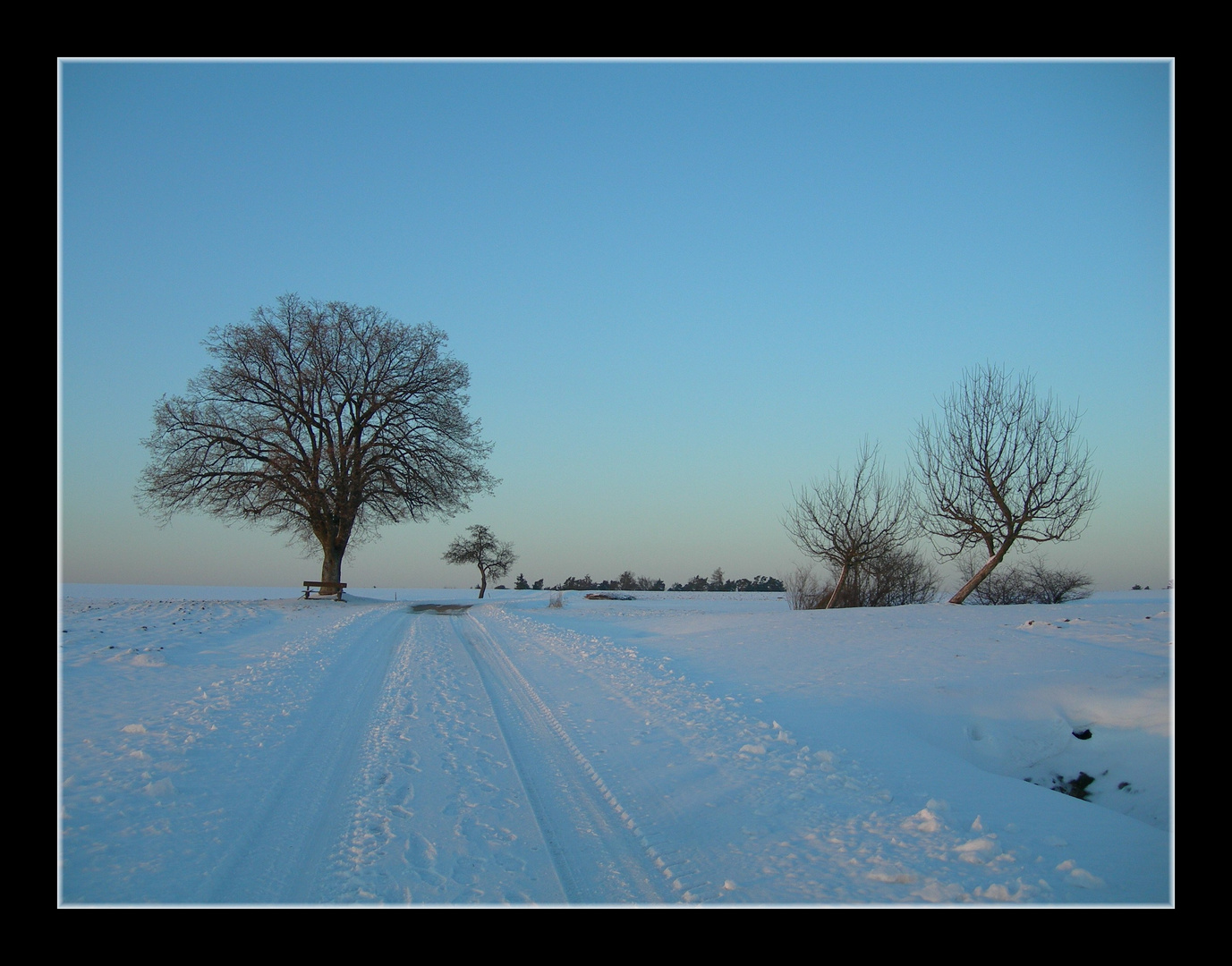 Als der Winter noch ein Winter war ... II