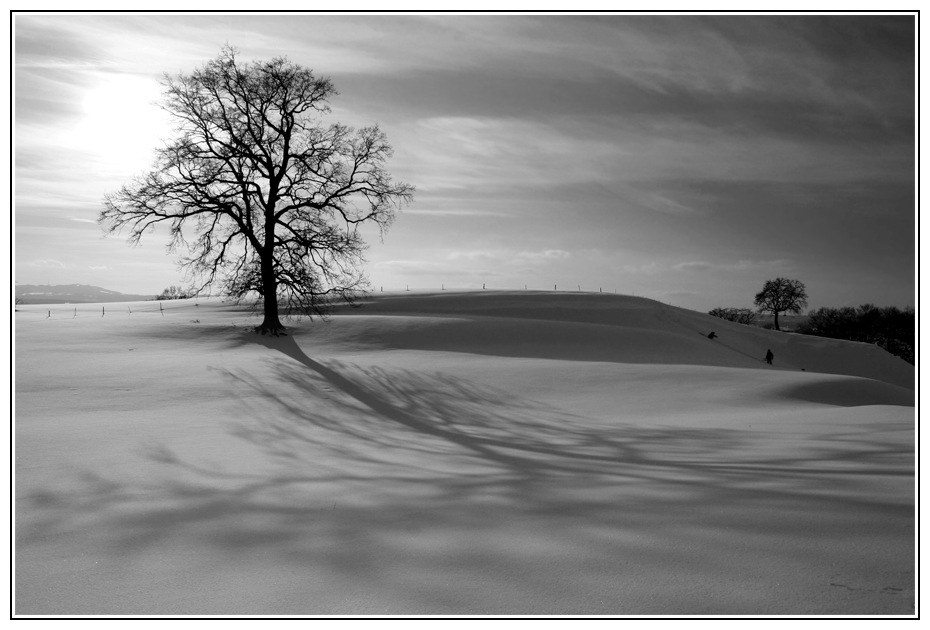 Als der Winter noch schön war