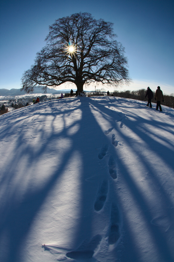 Als der Winter noch Winter war