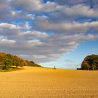 Als die Sonne auf die Hügel schien ....