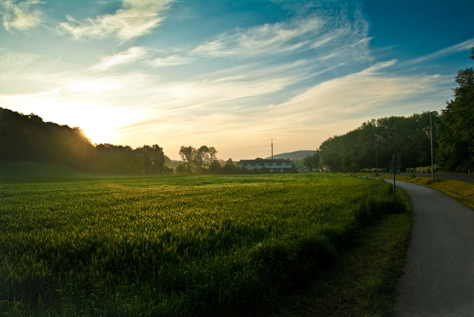 Als die Sonne das Feld küsste