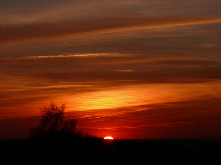 Als die Sonne heute (4.4.2007) schlafen ging