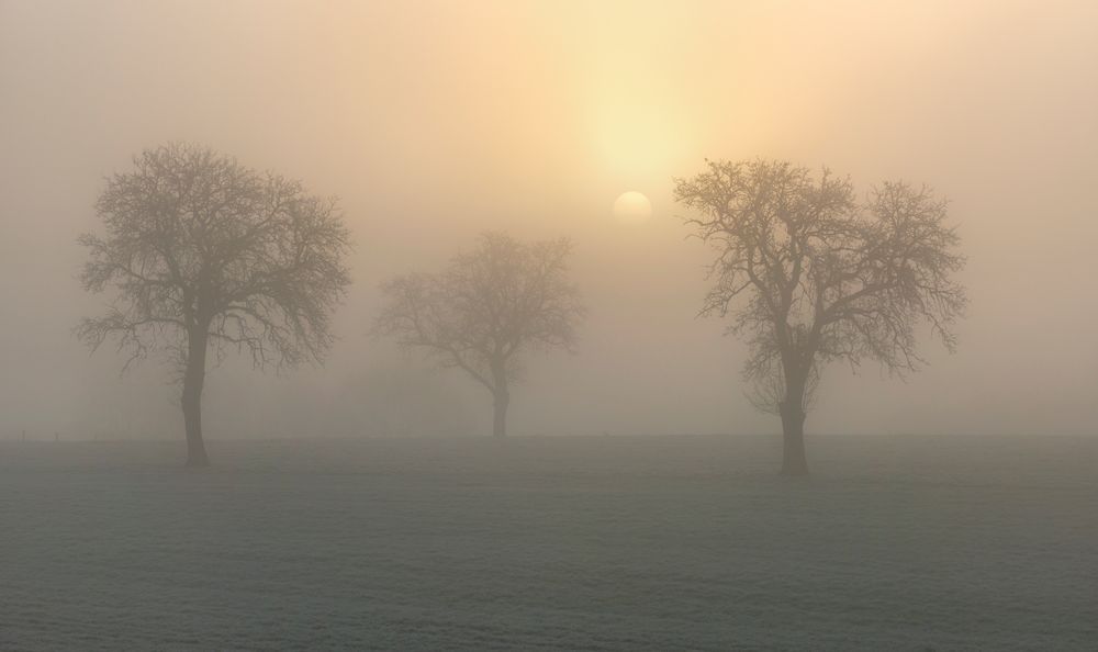 *als die Sonne im Nebel sichtbar wurde...*