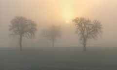 *als die Sonne im Nebel sichtbar wurde...*