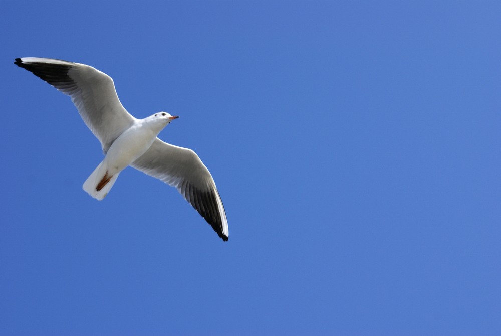 Als die Sonne noch schien und der Himmel blau war