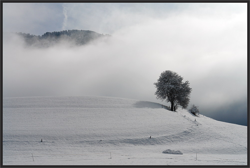 Als die Winter (3) ...