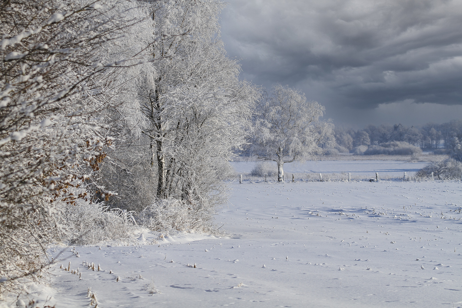 Als die Winter noch weiß waren