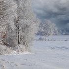 Als die Winter noch weiß waren