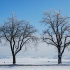 als ein Winter noch ein Winter war