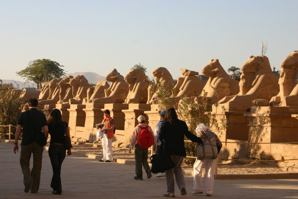 Als Entschädigung für die Falschbenennung vom Tempel in Edfu, hier nochmal die vielen Widder!
