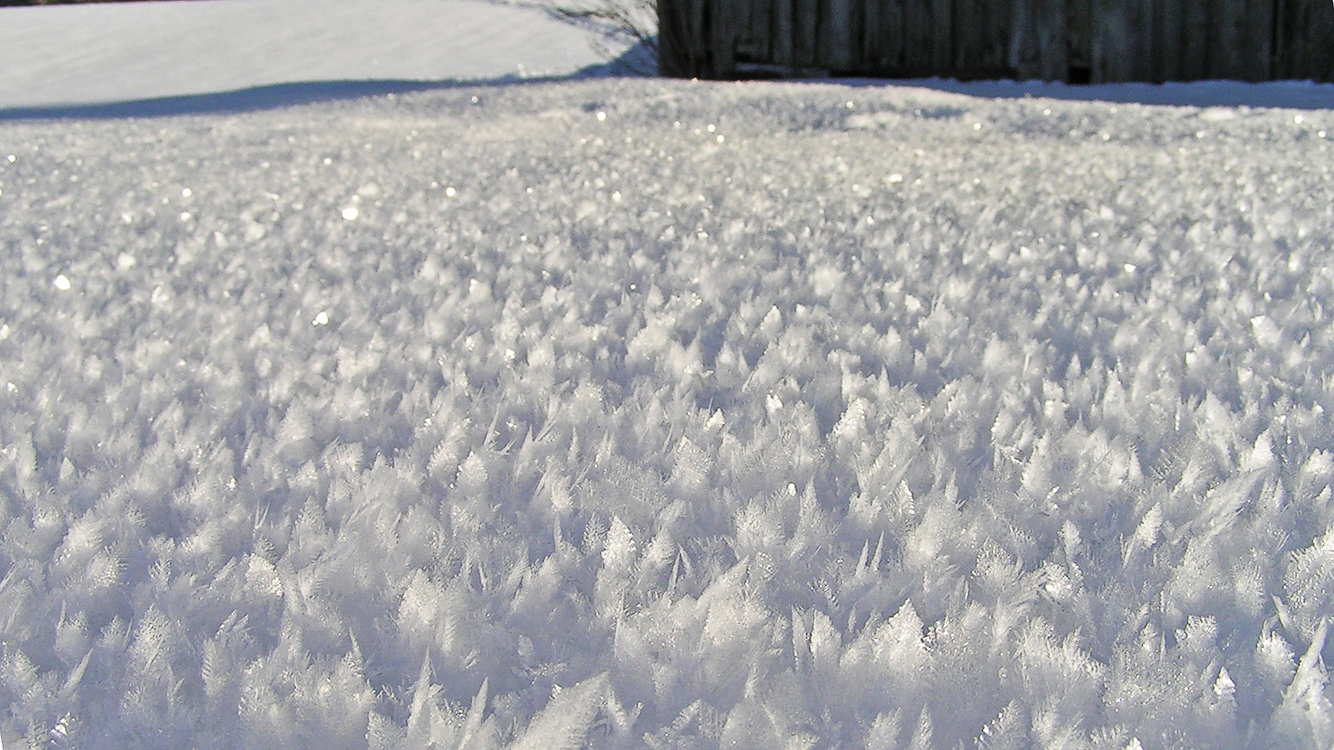 Als es im Januar noch Schnee gab Teil 2