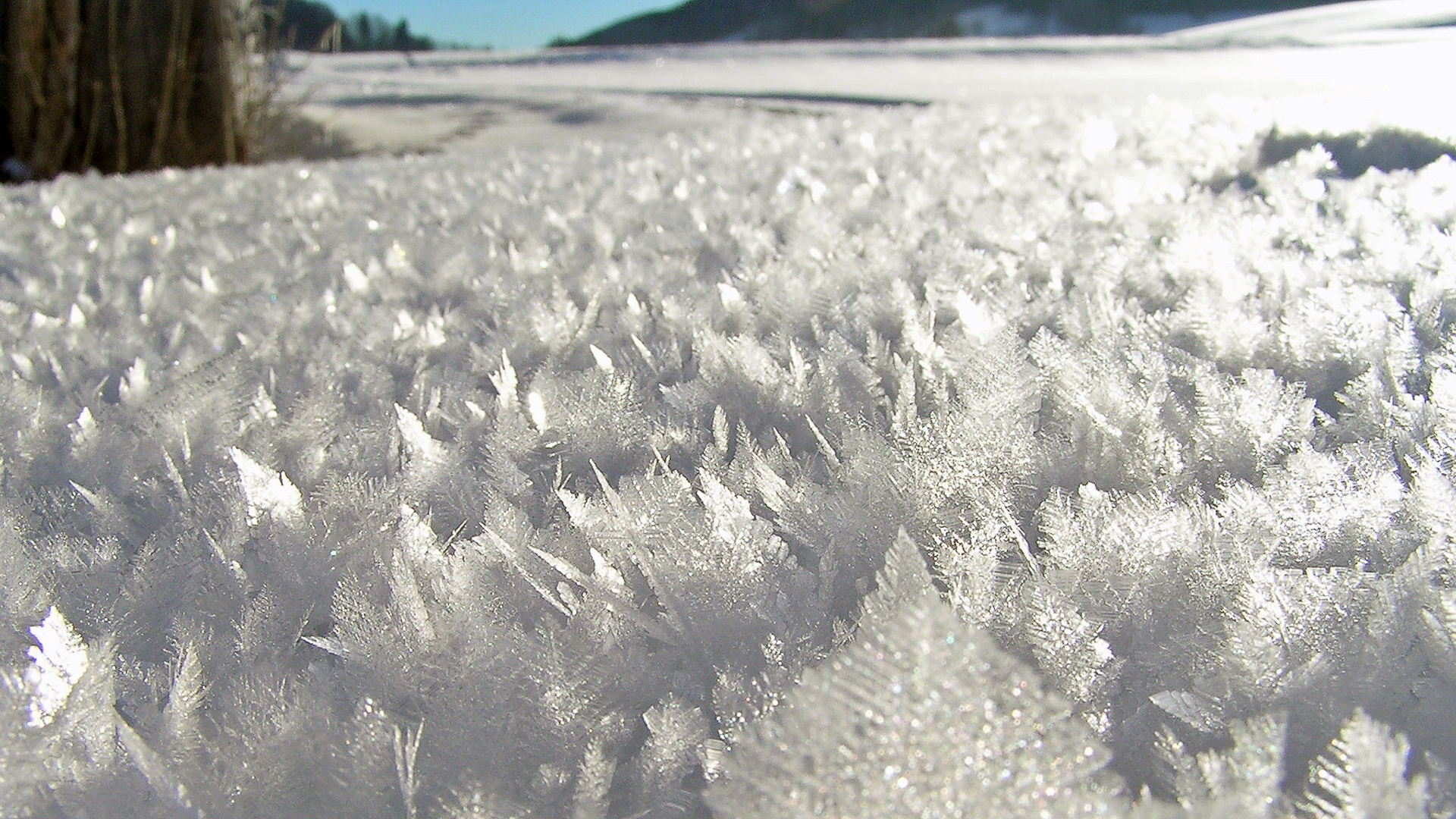 Als es im Januar noch Schnee gab Teil 3