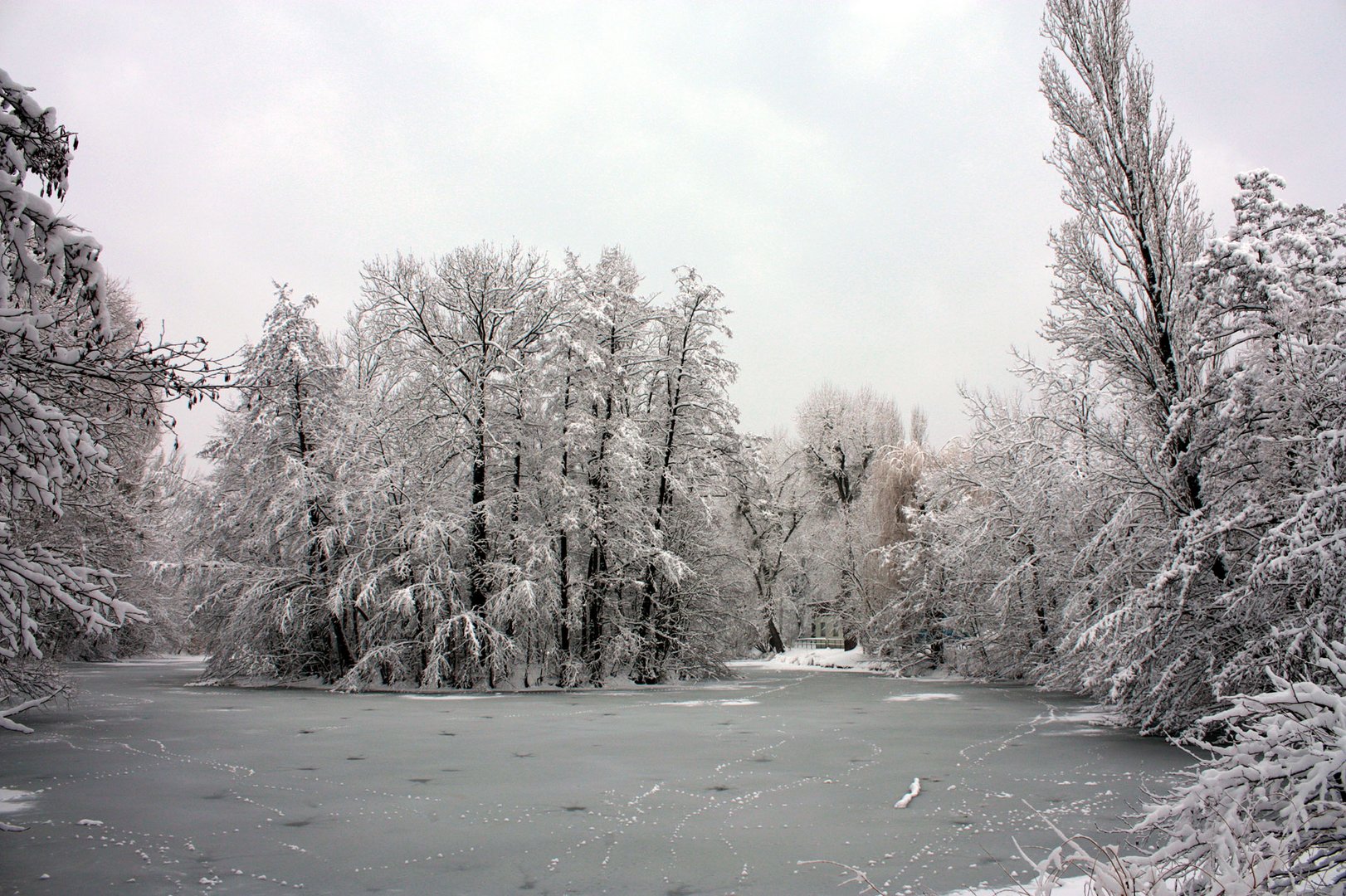 als es im Winter noch Schnee gab 