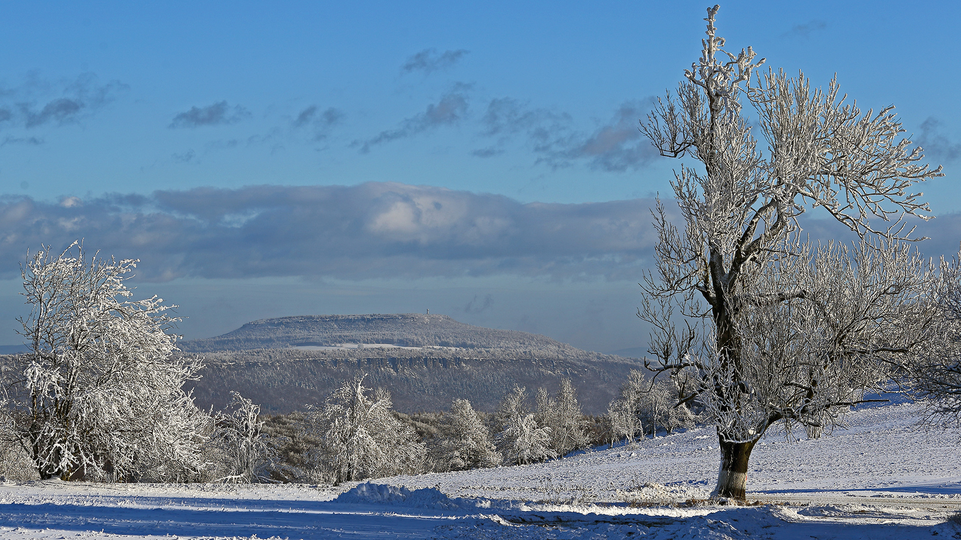 Als es in der ersten Januarwoche noch Sonne und Schnee gab....