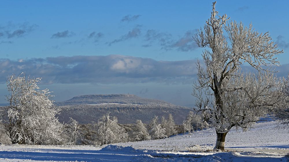 Als es in der ersten Januarwoche noch Sonne und Schnee gab....