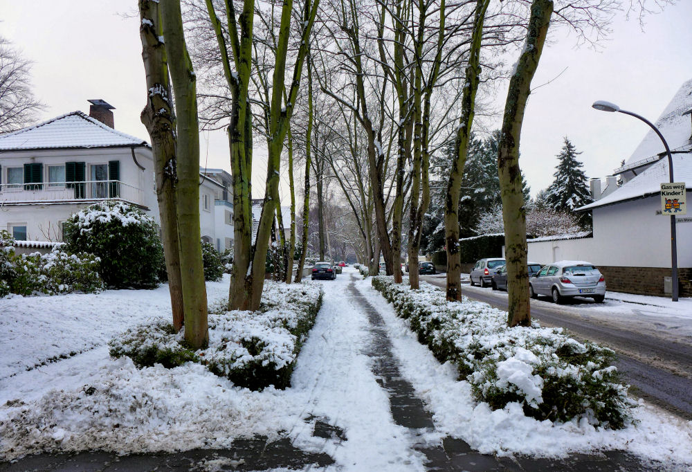 Als es in Köln mal Schnee gab 1