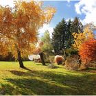  als es noch Bäume gab in Nachbars Garten