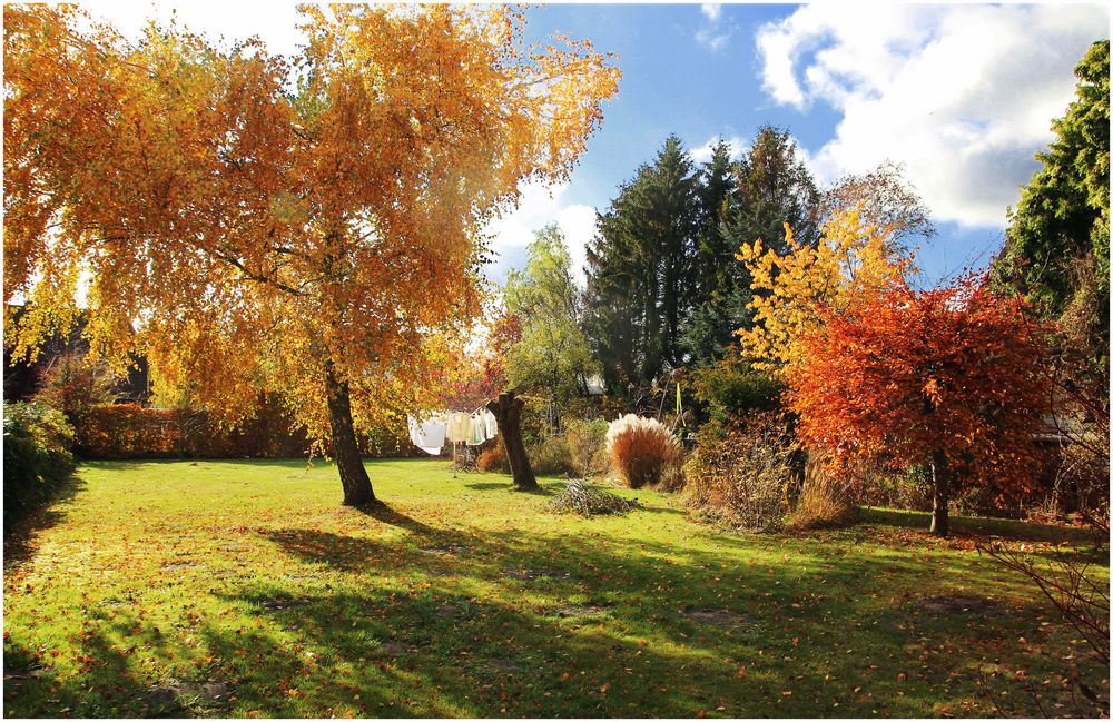  als es noch Bäume gab in Nachbars Garten