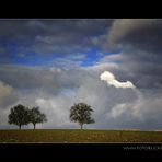 Als es noch blauen Himmel gab ...