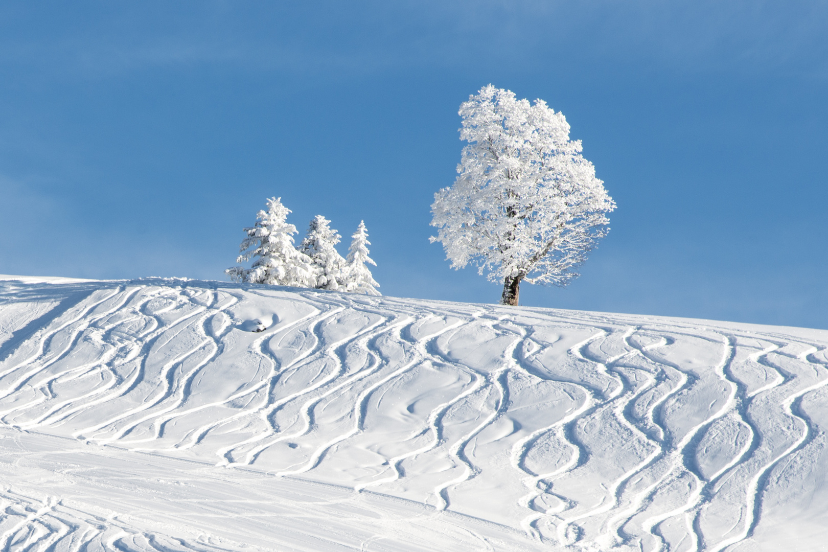 Als es noch einen richtigen Winter gab ...