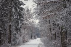 Als es noch einen Winter gab...